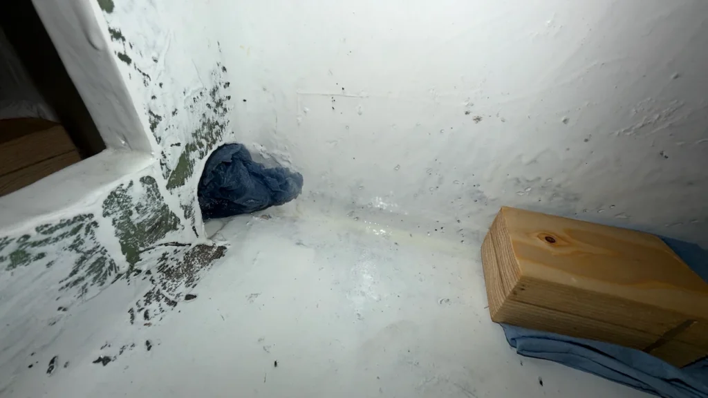 Wir hatten Diesel in der Bilge